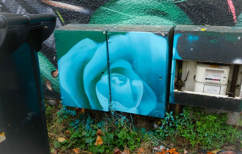 Utility box painted with a flower, Bristol, October 2020